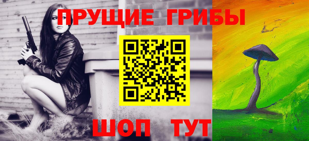 Галлюциногенные грибы прущие грибы Лениногорск
